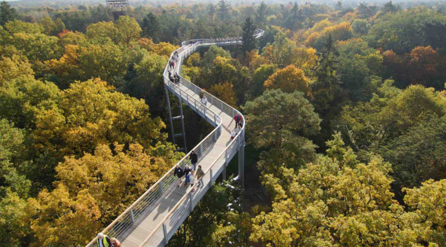 Beelitz Heilstatten Treetop Trail Ruins