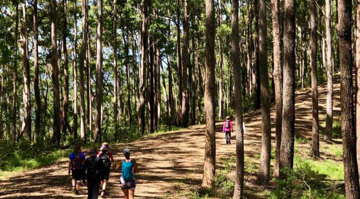 Mount Nebo Mount Glorious Loop DAguilar National Park