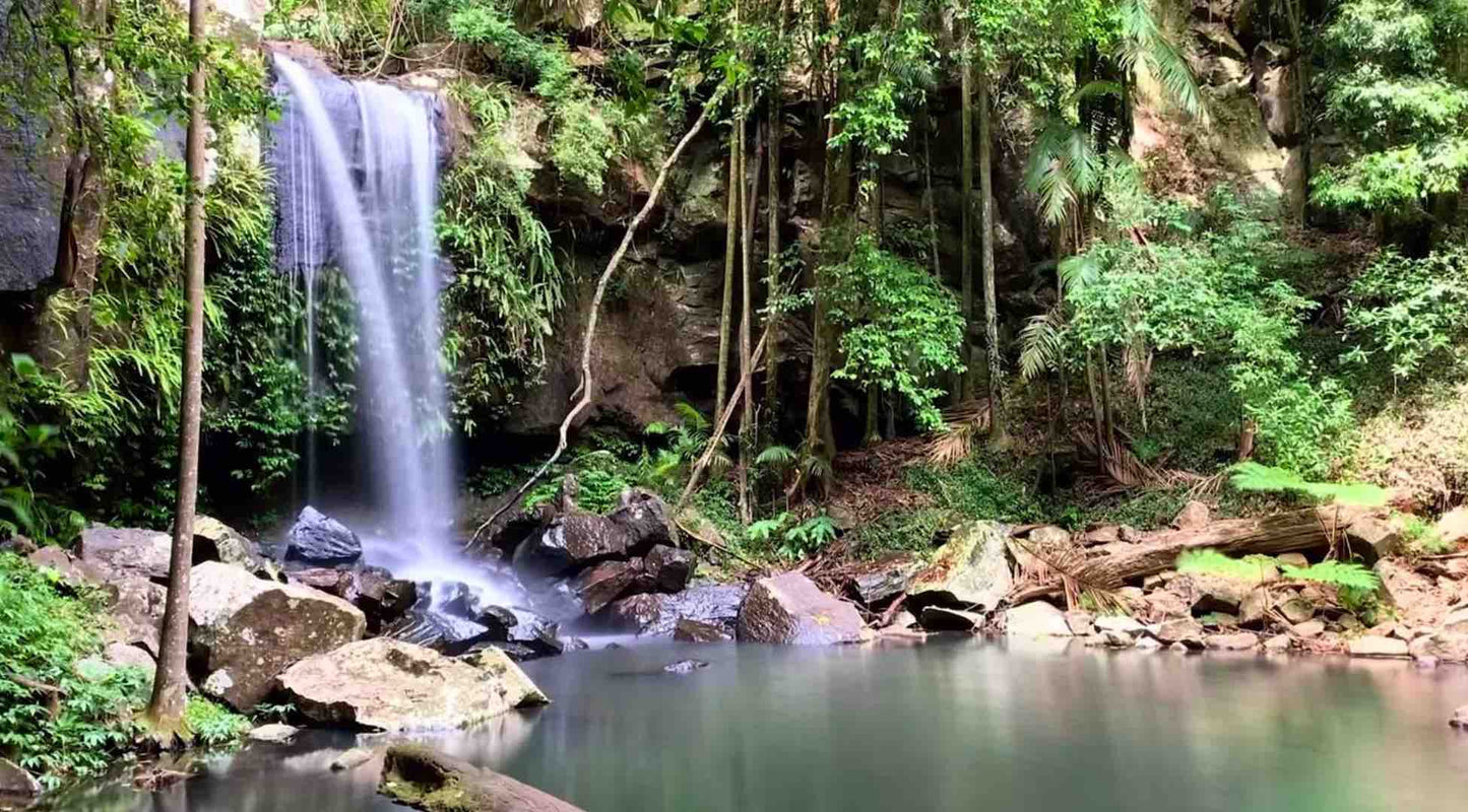 Curtis Falls Lower Creek Circuit Tamborine Mountain