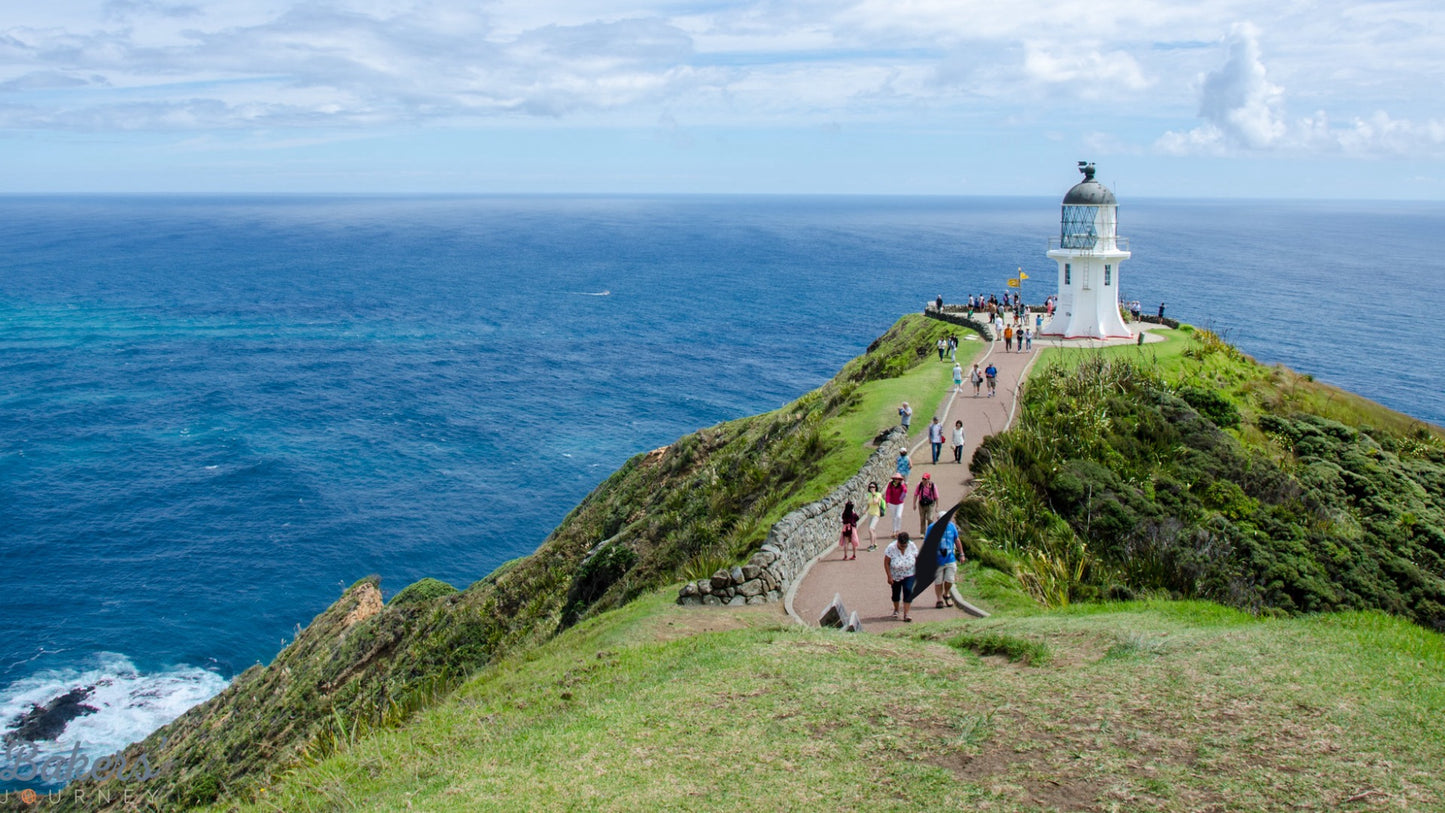 3 Days 2 Night Cape Reinga Trip
