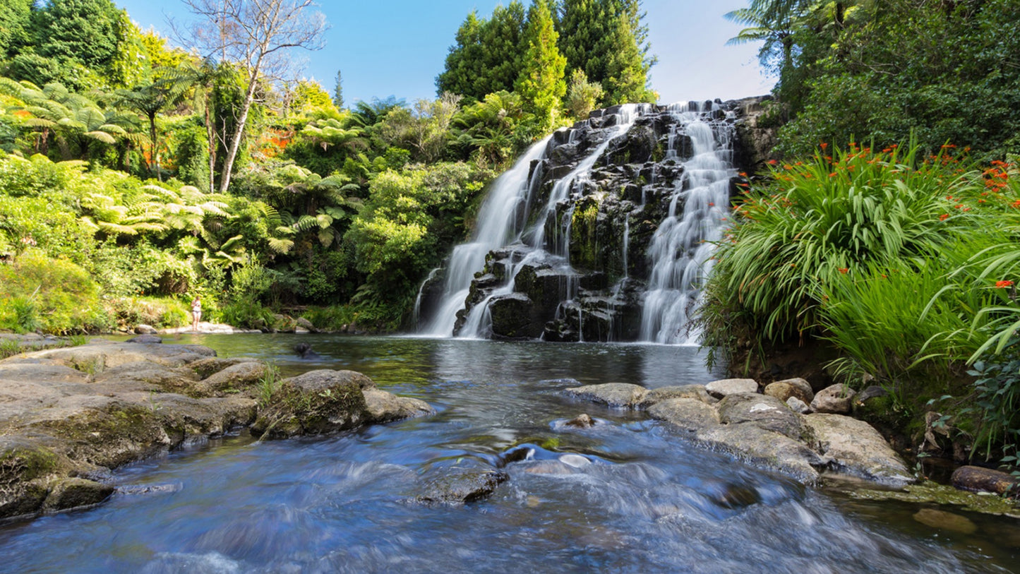 Karangahake Gorge Day Trip