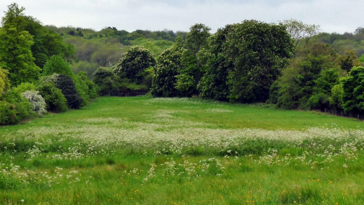 Tring Wendover Woods Circular Chiltern Hills