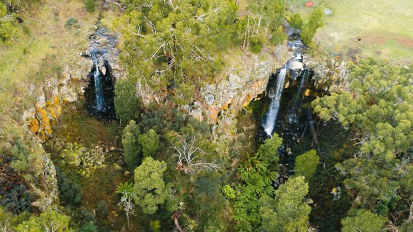 Toorongo Falls Circuit Rainforest Waterfalls