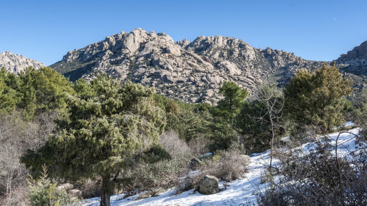 La Pedriza Surreal Granite Rock Formations