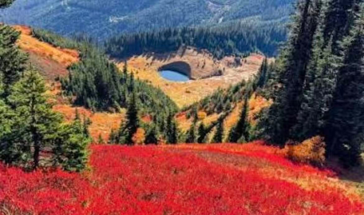 Cheam Peak Hiking