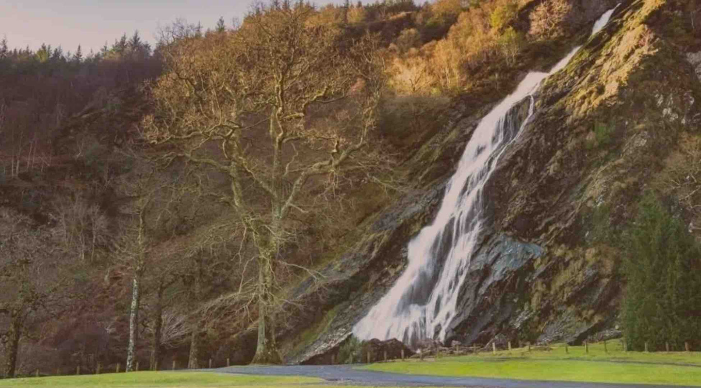 Powerscourt Estate Waterfall Trail Day Trip