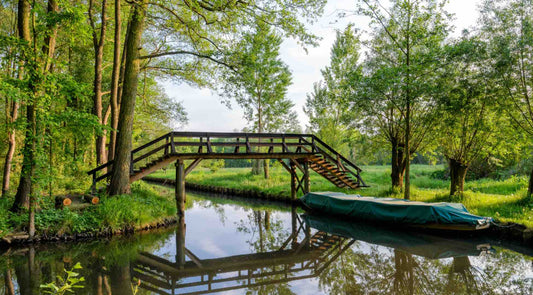 Spreewald Biosphere Reserve Burg im Spreewald
