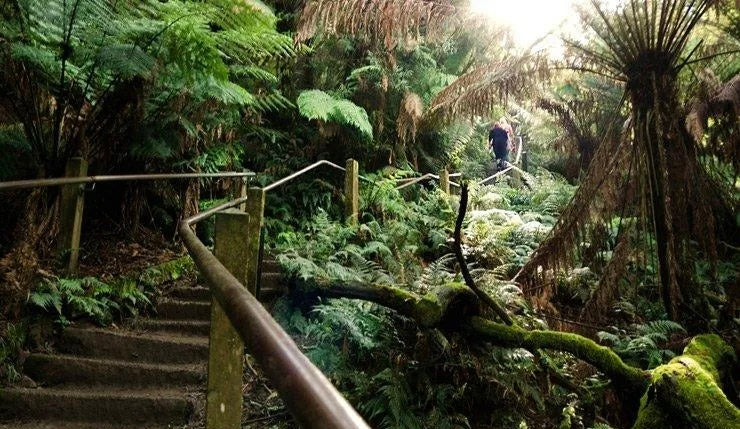 Kokoda Memorial Walk