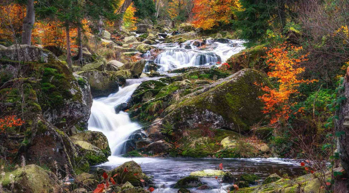 Harz Mountains Ilsenburg Ilsetal Waterfall Trail