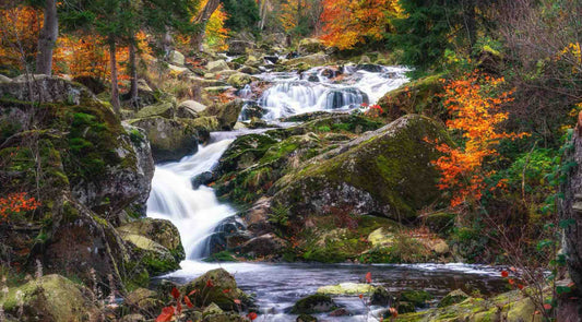 Harz Mountains Ilsenburg Ilsetal Waterfall Trail