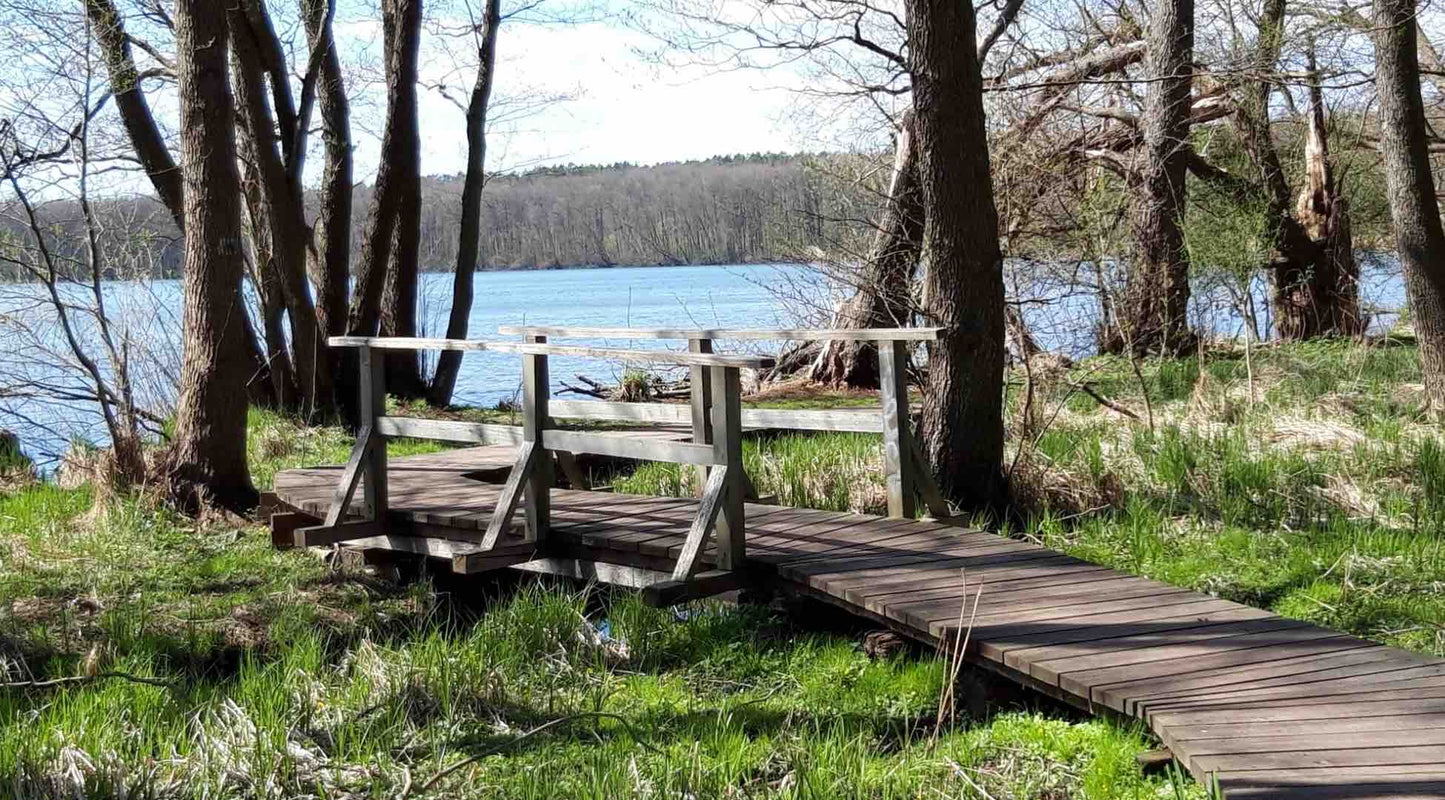 Oderbruch Nature Reserve Kustriner Vorland