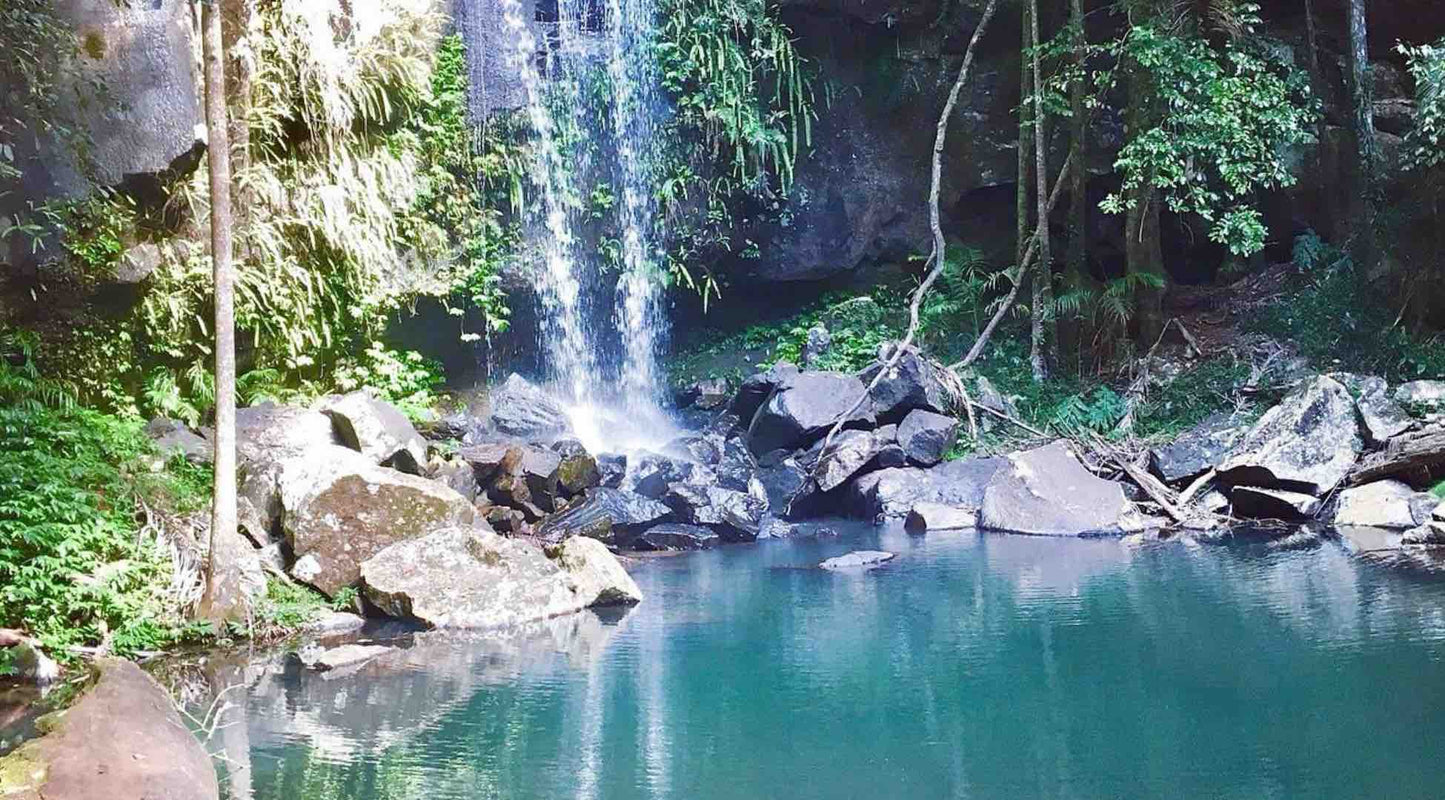 Witches Falls Circuit Tamborine Mountain National Park