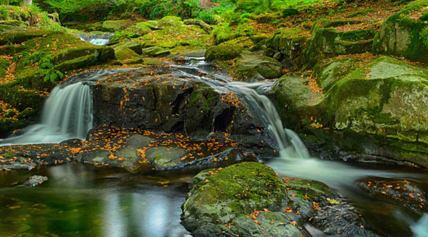 Glenmacnass Waterfall Sally Gap Moorland Day Trip