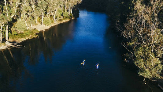 King Jarrah Track Hiking