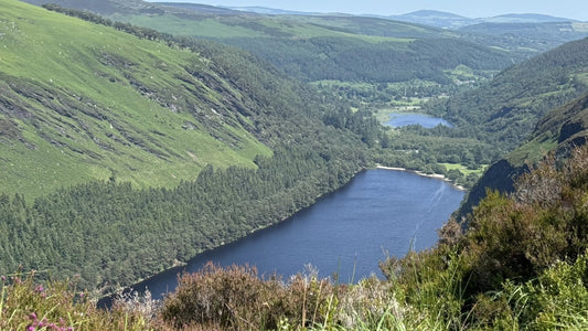Glendalough Spinc Glenealo Valley Loop Day Trip