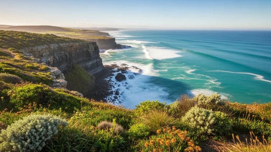 Bushrangers Bay Cape Schanck