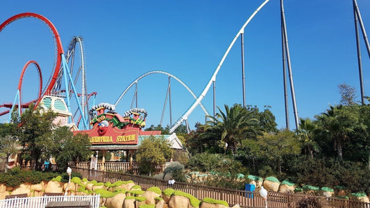 PortAventura World Day Trip