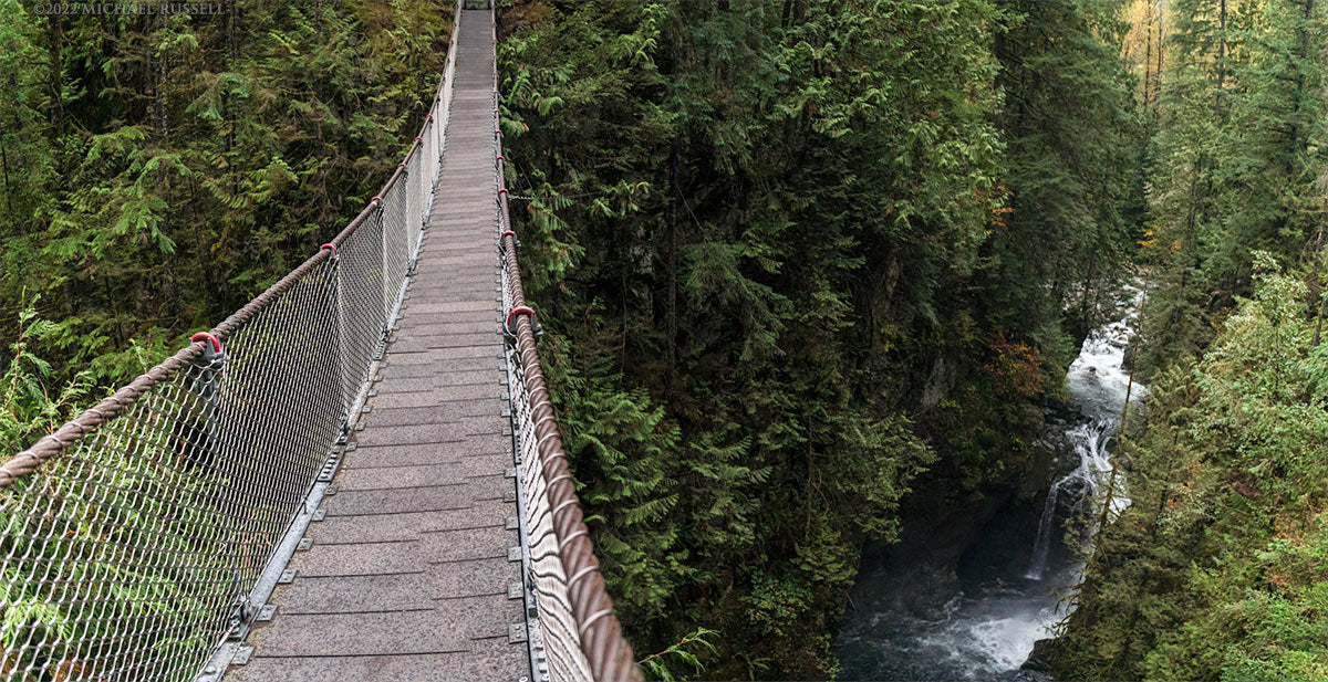 Explore Lynn Canyon Suspension Bridge Park Trails